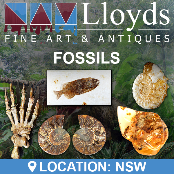 Fossils (NSWA665)