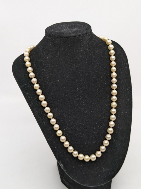 SA Public Trustee Home & Collectables Clearanc... - Lot 4723