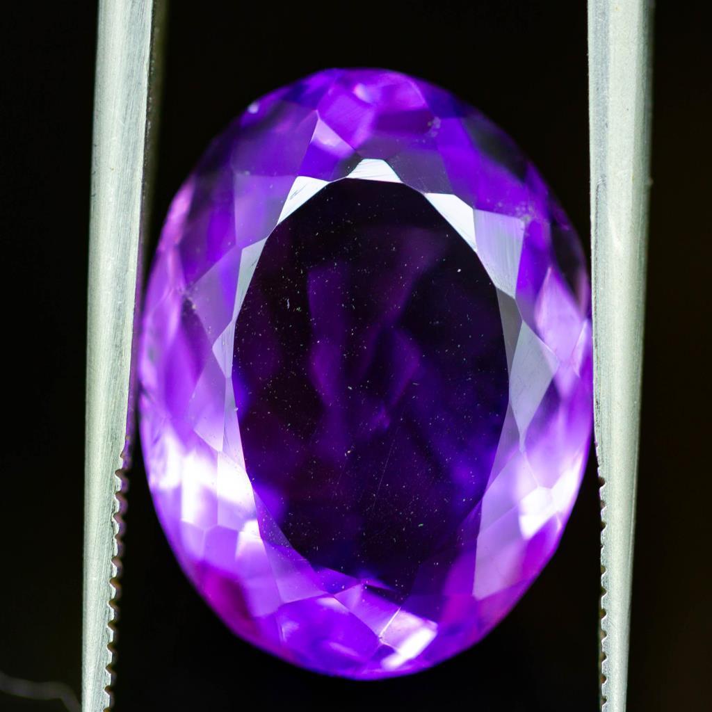 Sport, Gadgets & Tech (WAA987) - Lot 106